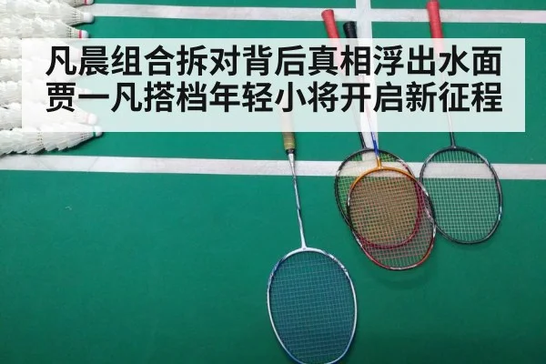 凡晨组合拆对背后真相浮出水面 贾一凡搭档年轻小将开启新征程